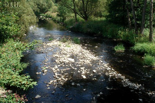 Blankenstein Sommer 2011