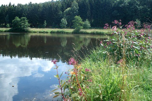 Blankenstein Sommer 2011