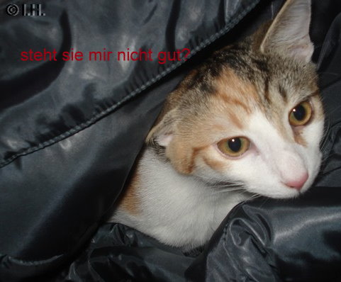 Meine Jacke