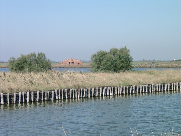 Parco Regionale del Delta de Po