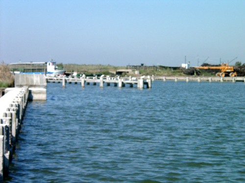 Parco Regionale del Delta de Po