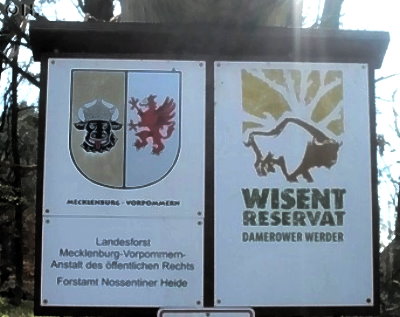Wisentreservat Damerower Werder 2012