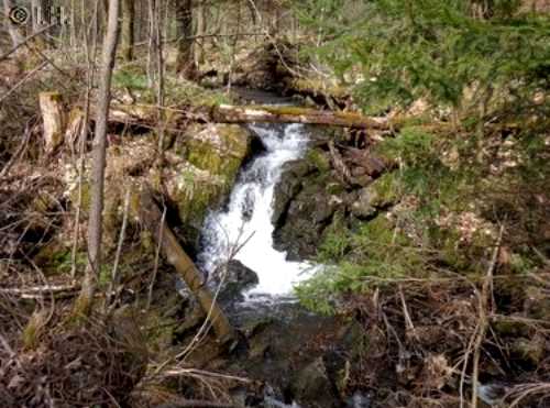Wasserfall und neuer Teich Zorge im Frhjahr 2013