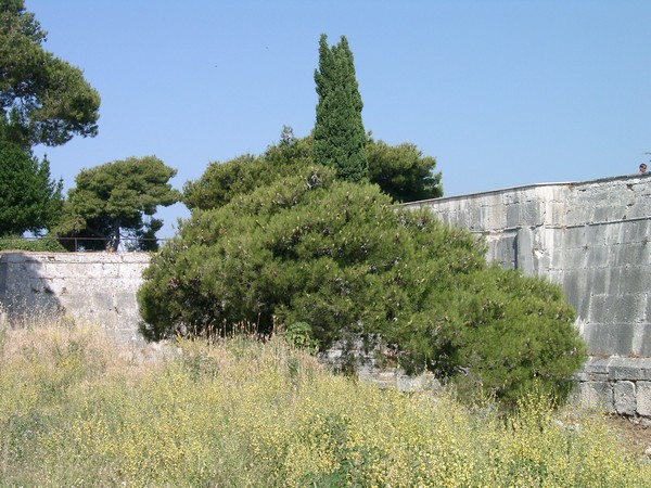 Pula 2004