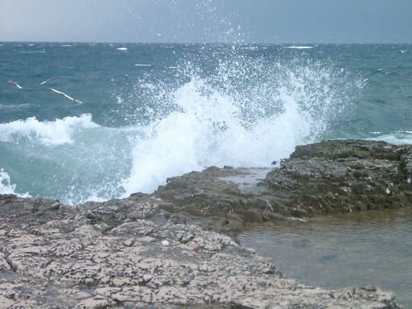 Sturm auf Lanterna 2004