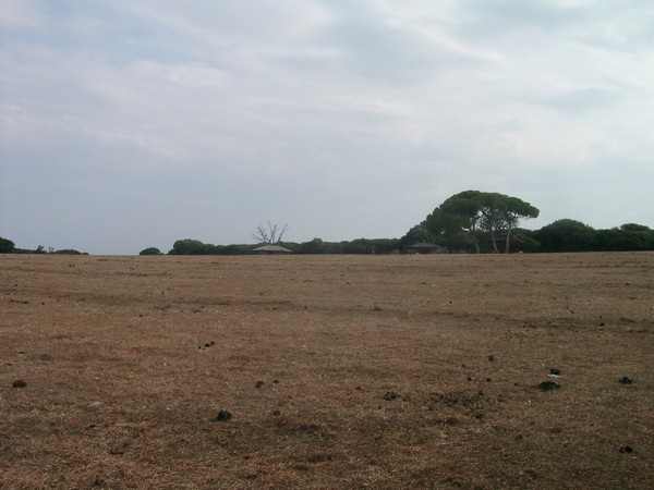 Brijuni Nationalpark 2004