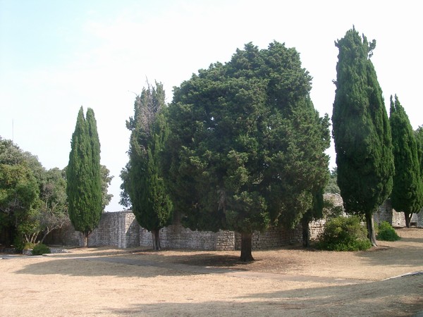 Brijuni Nationalpark 2004