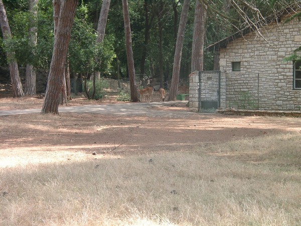 Brijuni Nationalpark 2004