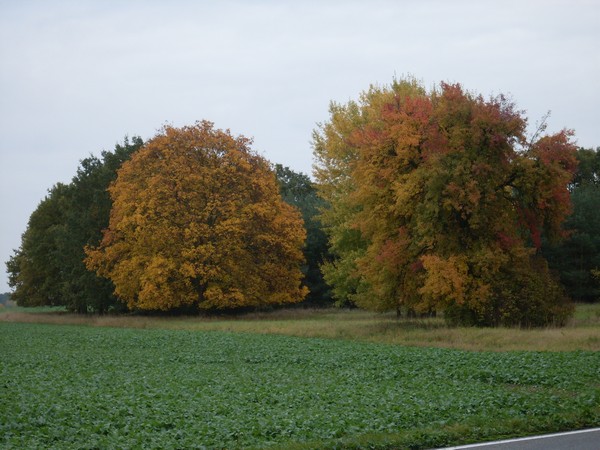 Herbst 2009