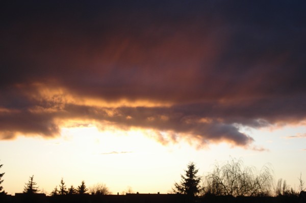 Mrzhimmel 2009