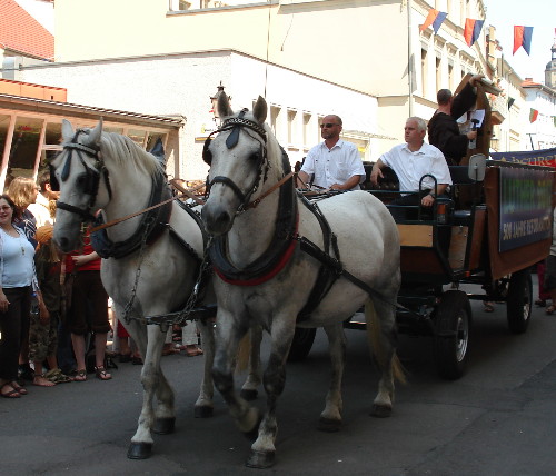 Wittenberg, Lutherfest 2007