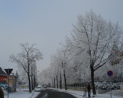 Winter 07, Wolfen, Kirchstrae