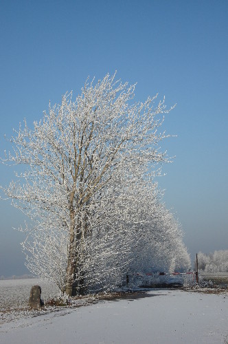 Winter 07, bei Sandersdorf