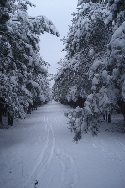 Goitzsche 1.1.2010