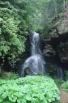 Lichtenhainer Wasserfall 31.5.09